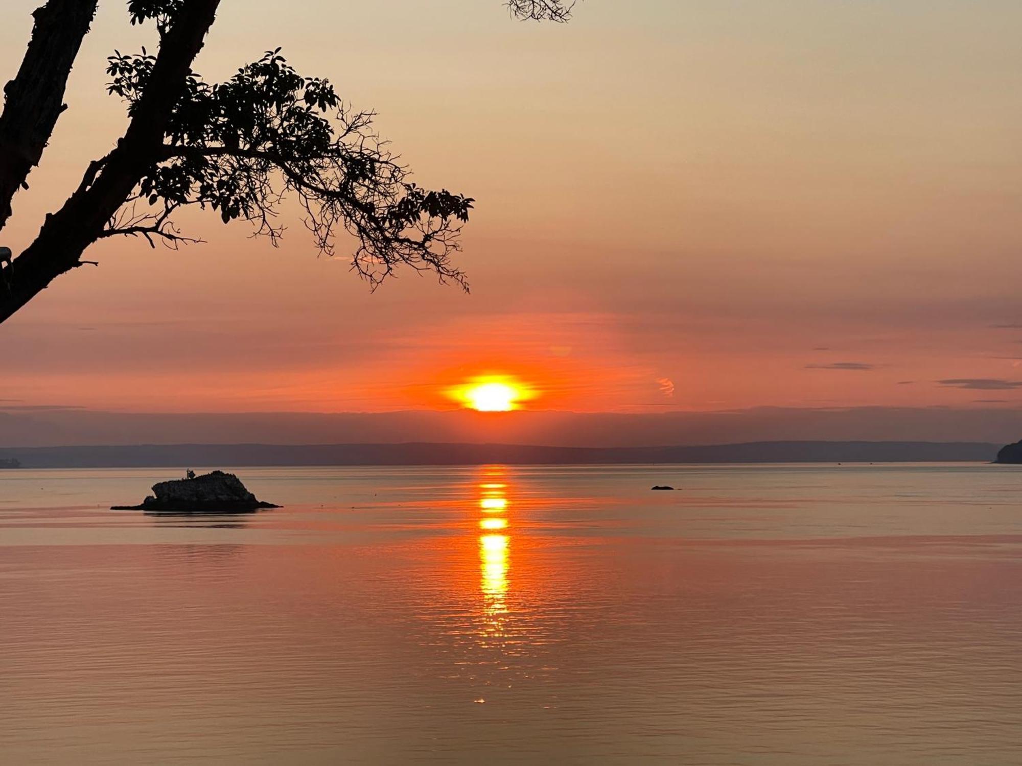 Puget Sound Chic Romantic Cottage With Private Beach Access & Gated Entry Port Ludlow المظهر الخارجي الصورة